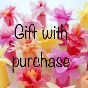 Small coin berry Vera Bradley NWOT